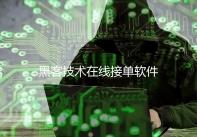黑客技术在线接单软件
